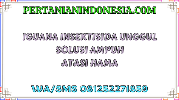 Iguana Insektisida Unggul Solusi Ampuh Atasi Hama